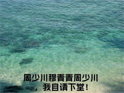 周少川，我自请下堂！全文免费阅读无弹窗大结局_（周少川穆青青无弹窗）周少川，我自请下堂！全文阅读最新章节列表笔趣阁