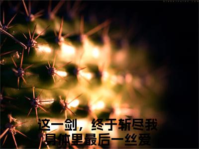 夜君离尔笙（这一剑，终于斩尽我身体里最后一丝爱）热门小说盘点在线阅读-全网推荐小说这一剑，终于斩尽我身体里最后一丝爱全文