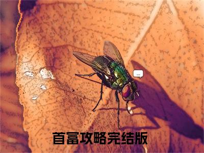 陈阳小说免费阅读 首富攻略完整版全文大结局