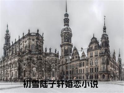 初雪陆子轩小说全文免费阅读（初雪陆子轩）全文免费阅读无弹窗大结局_(初雪陆子轩)初雪陆子轩小说免费阅读无弹窗最新章节列表_笔趣阁（初雪陆子轩）