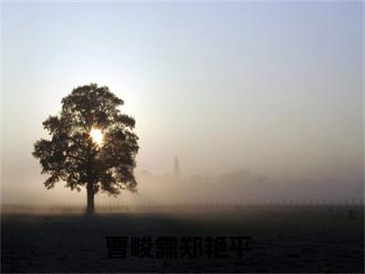 曹峻霖郑艳平（曹峻霖郑艳平）完整版小说阅读_曹峻霖郑艳平全文免费阅读最新章节列表_笔趣阁