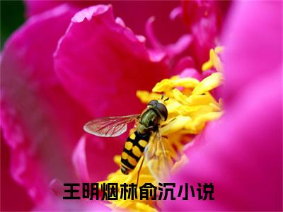 王明烟林俞沉（王明烟林俞沉）全集免费阅读无弹窗_王明烟林俞沉最新章节列表