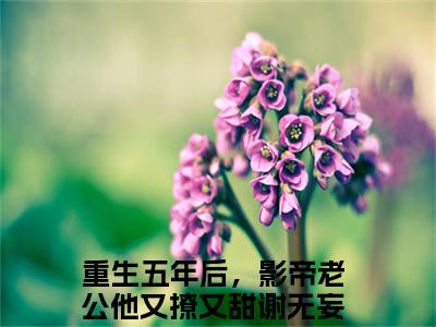 谢无妄姜念小说（重生五年后，影帝老公他又撩又甜）全文免费阅读_谢无妄姜念小说（重生五年后，影帝老公他又撩又甜）最新章节列表笔趣阁小说