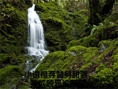 安颜顾承郁（替身甜妻，禁欲顾总沦陷了）全文免费阅读_安颜顾承郁免费阅读最新章节列表笔趣阁（替身甜妻，禁欲顾总沦陷了）