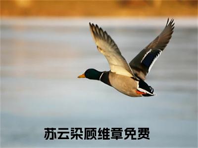 苏云染顾维章全文免费阅读无弹窗大结局_ 苏云染顾维章热门章节在线阅读笔趣阁