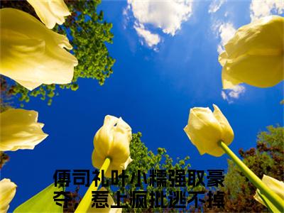 强取豪夺，惹上疯批逃不掉傅司礼叶小糯小说全文无广告阅读-强取豪夺，惹上疯批逃不掉小说赏析傅司礼叶小糯