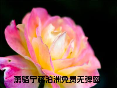 萧骆宁蒋泊洲小说（萧骆宁蒋泊洲）全文免费阅读无弹窗大结局_萧骆宁蒋泊洲小说最新章节列表_笔趣阁（萧骆宁蒋泊洲）