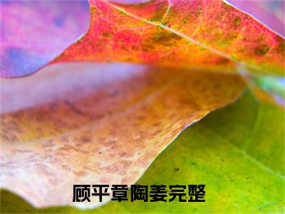 顾平章陶姜全文免费阅读_（顾平章陶姜小说）顾平章陶姜言情小说在线阅读笔趣阁