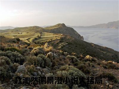 杜沁然谢景澄(杜沁然谢景澄)精彩美文-杜沁然谢景澄免费阅读