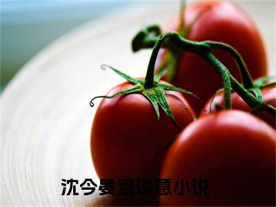 沈今晏温谈意（沈今晏温谈意）小说全文免费阅读无弹窗大结局_（沈今晏温谈意）沈今晏温谈意小说全文免费阅读最新章节列表笔趣阁（沈今晏温谈意）