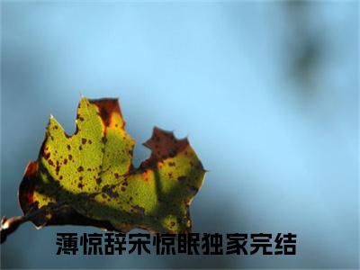 （薄惊辞宋惊眠）小说在线阅读-热文薄惊辞宋惊眠小说全文阅读