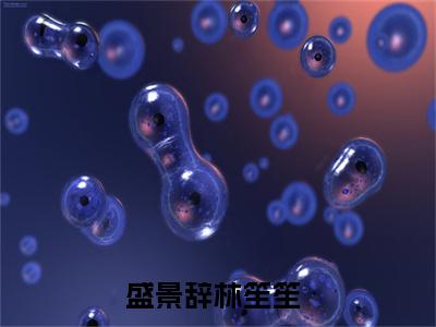 盛景辞林笙笙完本小说全集阅读-（盛景辞林笙笙）主角的小说是什么名字