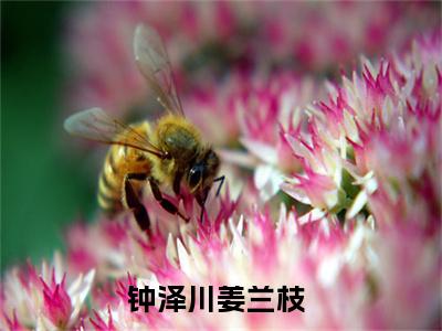 钟泽川姜兰枝的小说(钟泽川姜兰枝)最新章节全文免费阅读_笔趣阁