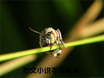 岑瑶裴闵小说最新试读_岑瑶裴闵是(岑瑶裴闵全文完整版免费阅读)_笔趣阁