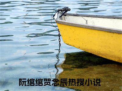 阮绾绾贺念辰（阮绾绾贺念辰）全文免费阅读无弹窗_阮绾绾贺念辰全文免费阅读最新章节大结局_