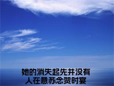 苏念贺时宴（她的消失起先并没有人在意）全文免费阅读无弹窗-她的消失起先并没有人在意完整版全文在线赏析