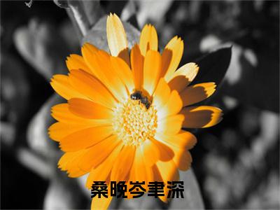 桑晚岑聿深（桑晚岑聿深）小说全文免费阅读-桑晚岑聿深知乎小说