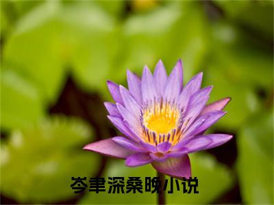 岑聿深桑晚小说（岑聿深桑晚）最新章节阅读-岑聿深桑晚免费阅读无弹窗大结局