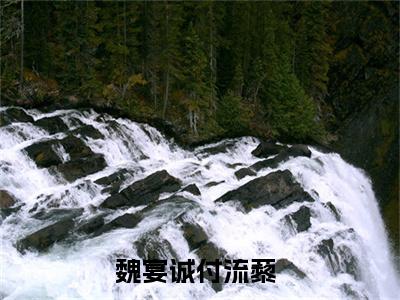 魏宴诚付流藜(魏宴诚付流藜)全文免费阅读无弹窗大结局_魏宴诚付流藜(魏宴诚付流藜小说全文大结局)全章节免费在线阅读（魏宴诚付流藜）