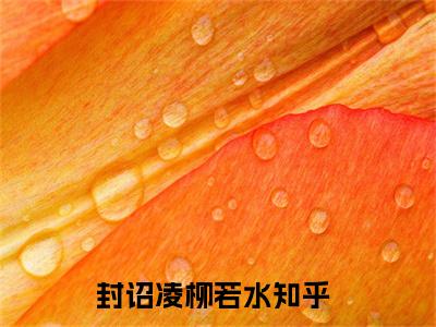 封诏凌柳若水（封诏凌柳若水）全文小说-（封诏凌柳若水）小说最新章节免费阅读