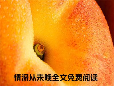 厉萧陈曼（情深从未晚）小说全文无删减版_厉萧陈曼最新章节列表_笔趣阁（情深从未晚）