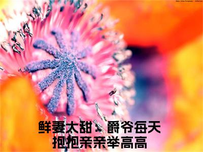 叶南爵桑甜（鲜妻太甜：爵爷每天抱抱亲亲举高高）热门小说在哪免费看-叶南爵桑甜小说鲜妻太甜：爵爷每天抱抱亲亲举高高全章节阅读