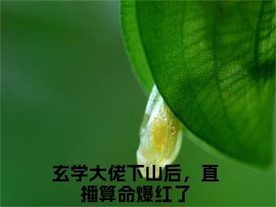 玄学大佬下山后，直播算命爆红了秦颜今全文小说-玄学大佬下山后，直播算命爆红了小说最新章节免费阅读