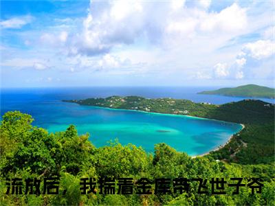 流放后，我揣着金库带飞世子爷（沈婉谢慕白）全文免费阅读无弹窗大结局_流放后，我揣着金库带飞世子爷免费阅读最新章节列表_笔趣阁