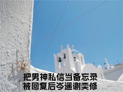 把男神私信当备忘录被回复后（岑遥谢奕修）最新章节阅读-热点小说榜单推荐岑遥谢奕修