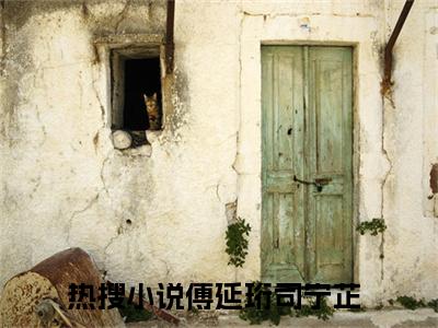 傅延珩司宁芷小说(傅延珩司宁芷)全文免费阅读无弹窗大结局 傅延珩司宁芷小说全文无删减版