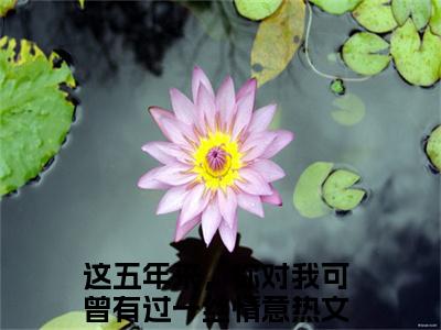 这五年来，你对我可曾有过一丝情意（陆之延姜婉）高质量小说免费阅读-主角是这五年来，你对我可曾有过一丝情意的小说叫什么名字（陆之延姜婉）