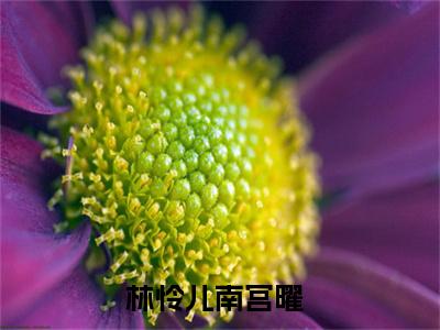 林怜儿南宫曜长篇免费小说，柔弱医修与正道仙君要和离最新章节在线阅读