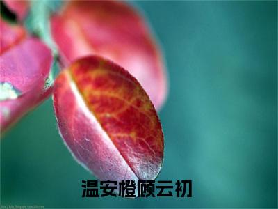 温安橙顾云初知乎小说全文免费阅读_温安橙顾云初知乎小说最新章节列表笔趣阁