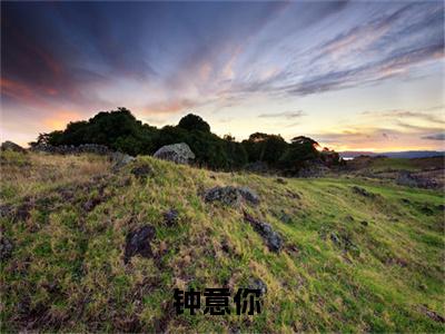 简澄周寂川（钟意你）热推现言小说-简澄周寂川小说在哪里可以看全文