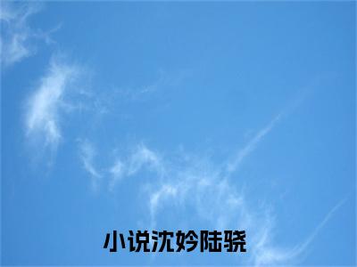 惹不起小说（沈妗陆骁）全文免费阅读无弹窗大结局_(沈妗陆骁)惹不起小说免费阅读无弹窗最新章节列表_笔趣阁（沈妗陆骁）