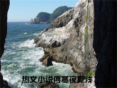 傅寒夜夏浅（离婚后，她被首富前夫掐腰宠）免费小说完整版阅读-（傅寒夜夏浅）最新章节在线阅读