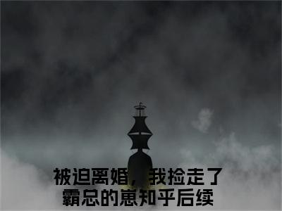 被迫离婚，我捡走了霸总的崽（乔依顾策全文在线阅读）-被迫离婚，我捡走了霸总的崽(乔依顾策)免费阅读（被迫离婚，我捡走了霸总的崽）