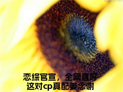 小说恋综官宣，全网直呼这对cp真配全文免费阅读无弹窗_（姜念谢无妄完结）恋综官宣，全网直呼这对cp真配小说免费阅读无弹窗最新章节列表_笔趣阁