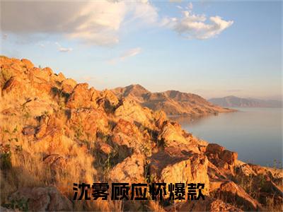 沈雾顾应怀小说（雾惹应怀）全文免费阅读无弹窗大结局_沈雾顾应怀小说最新章节列表_笔趣阁