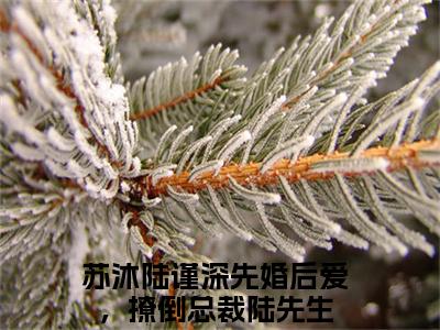 主人公叫（先婚后爱，撩倒总裁陆先生）的小说（苏沐陆谨深）免费阅读最新章节列表_笔趣阁