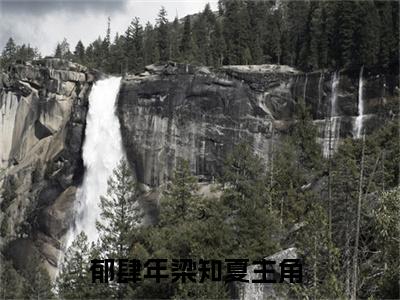 郁肆年梁知夏（郁肆年梁知夏）全文免费阅读-郁肆年梁知夏最新章节在线阅读