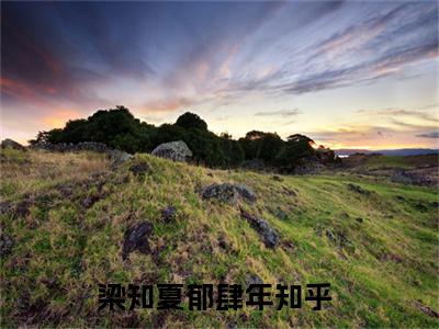 梁知夏郁肆年抖音新书热荐梁知夏郁肆年-梁知夏郁肆年最新小说全文阅读