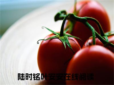 陆时铭叶安安全文免费阅读_（陆时铭叶安安小说）陆时铭叶安安言情小说在线阅读笔趣阁