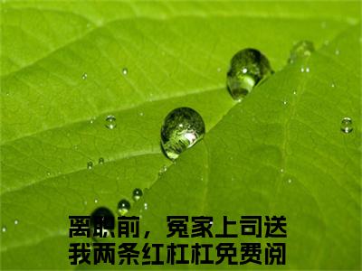 主角为谈信赫翁惜雾的小说（离职前，冤家上司送我两条红杠杠）大结局免费阅读-离职前，冤家上司送我两条红杠杠全文免费阅读笔趣阁