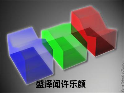 盛泽闻许乐颜人气小说全本免费阅读