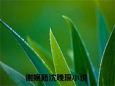 谢婉茹沈晚琛全文免费阅读无弹窗大结局_（时光在陌路小说）谢婉茹沈晚琛最新章节列表笔趣阁（时光在陌路）