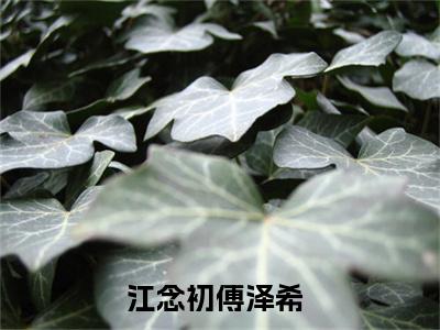 江念初傅泽希(江念初傅泽希)全文免费阅读无弹窗大结局_ (江念初傅泽希免费阅读)最新章节列表_笔趣阁（江念初傅泽希）