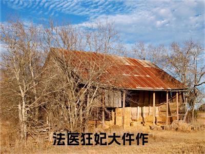 祁熹秦止小说全文（法医狂妃大仵作）全文免费阅读无弹窗大结局_祁熹秦止全文免费阅读无弹窗最新章节列表_笔趣阁