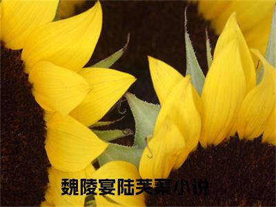 魏陵宴陆芙蕖（魏陵宴陆芙蕖）全文免费阅读无弹窗_魏陵宴陆芙蕖最新小说_笔趣阁（魏陵宴陆芙蕖）