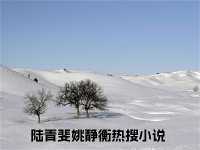 陆青斐姚静衡（陆青斐姚静衡）全文免费阅读无弹窗_陆青斐姚静衡最新小说_笔趣阁（陆青斐姚静衡）